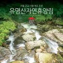 국립유명산자연휴양림 | 서울근교 산 국립유명산자연휴양림 가평 유명산 가평 계곡 캠핑장