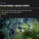 시편 52편 - 정신을 똑바로 차려라 이미지