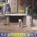 쑤 - 의정부시 민락로 195 | 쑤