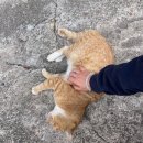 바게트왕자 슈크림공주 이미지