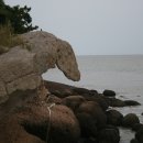 성산  매부리 이미지