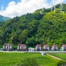 춘천남이섬애견가족전원마을펜션 이미지