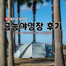 씨유제주금능길점 | 금능해수욕장야영장 :: 야자나무가 멋진 제주 노지 캠핑장