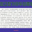 해암양만 네이버블로그