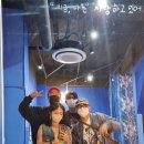 더도옌느(THEdoyenne)