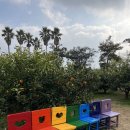 회관농장 이미지