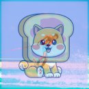 별빛 애견호텔 | 목포 애견 동반 호텔 bowwow 애견과 한편으로는하와 별빛 감상 호텔 추천