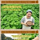 지리산힐링마켓 이미지