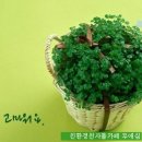 행운 - 광진구 뚝섬로 513 | 행운