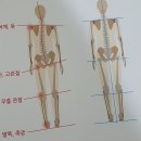 알즈너대한 이미지