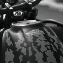 더히말라얀 이미지