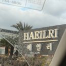 해일리 풀앤스파 | [제주]성산 풀빌라 호캉스 추천 '해일리 풀앤스파' 오션뷰 자쿠지 내돈내산 후기