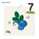 포옥차 이미지