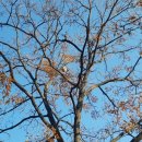 윤종원농장 이미지