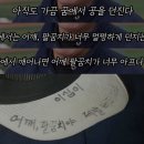 아직도 가끔 꿈에서 공을 던진다. 이미지