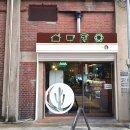 라엔 이미지