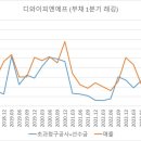 디와이피엔에프 이미지