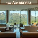 더엠브로시아 이미지