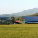 세원태양광발전소 이미지