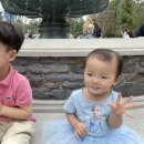 디즈니랜드완구점 네이버블로그