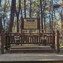 윤산중학교 이미지