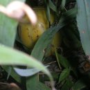 지남농장 이미지