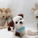 쭈 애견미용 이미지