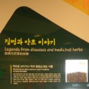 한방생명과학관 이미지