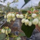 현제농장 이미지