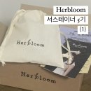 [허블룸 서스테이너 5기]뷰티 브랜드 대외활동 합격후기 + 눈가건강키트 언박싱 후기