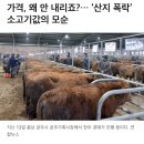 안산지 이미지