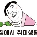 행운셀프 이미지