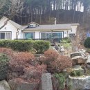 잣나무집정원 이미지