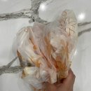 홍가뽈찜 이미지