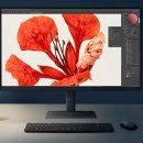 짐피니티 | 삼성전자 뷰피니티 37인치 UHD 4K 모니터 (ft.화면설정)