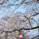 덕천서원화장실 이미지