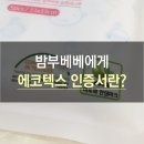 에코베베
