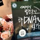 빅토리아영어연구소학원