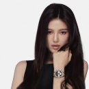 다니엘 이미지