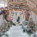 책읽고요리하는도서관(평일) | 서울 강남 코엑스 별마당도서관 책 속에 트리 가는법 주차 이용팁