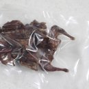 퍼피바게트 이미지