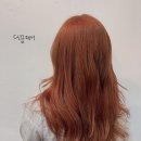 더꿈 이미지