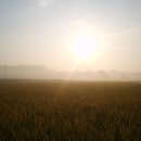 윤서농장 이미지