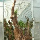 내고향산장 이미지