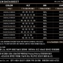 고릴라틴팅