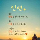 인간의 정신이 비뚤어지면 인간이 얼마나 악랄한 짓을 할 수 있는지를 우리는 일제시대 백백교 사건, 오대양사건등에서 볼 수 있습니다. 이미지