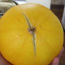 들길농장 이미지