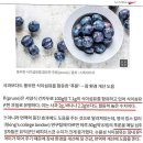 변비에 좋은 음식 3개월 후기, 약 없이 식단으로 바꾸기