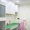 드림동물병원미용실 이미지