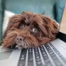 연성동물병원 이미지